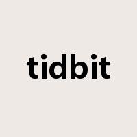 tidbit是什么意思