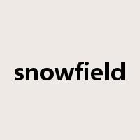 snowfield是什么意思