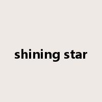 shining star是什么意思
