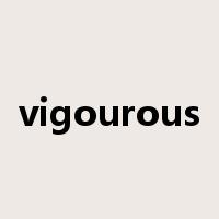 vigourous是什么意思