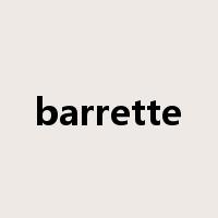 barrette是什么意思
