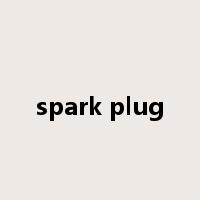 spark plug是什么意思