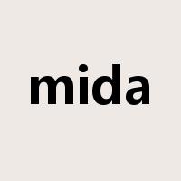 mida是什么意思