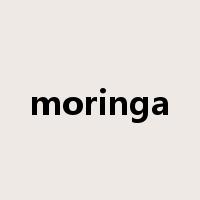 moringa是什么意思