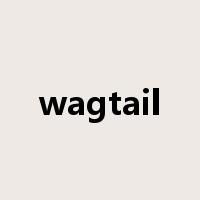 wagtail是什么意思