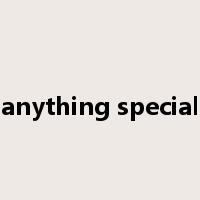 anything special是什么意思