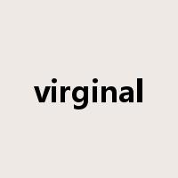 virginal是什么意思