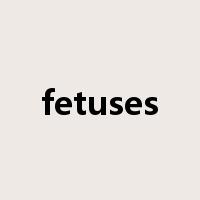 fetuses是什么意思