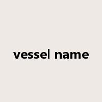 vessel name是什么意思