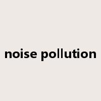 noise pollution是什么意思