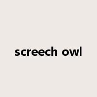 screech owl是什么意思
