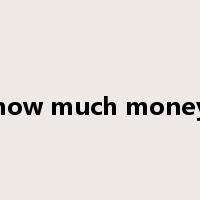 how much money是什么意思