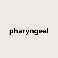 pharyngeal是什么意思