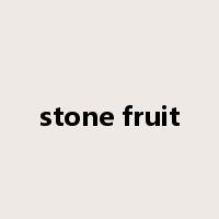 stone fruit是什么意思