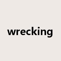 wrecking是什么意思