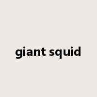 giant squid是什么意思