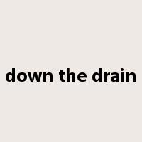 down the drain是什么意思