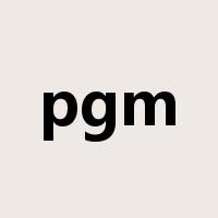pgm是什么意思
