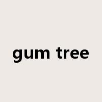 gum tree是什么意思