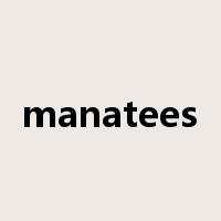 manatees是什么意思