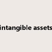 intangible assets是什么意思