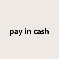 pay in cash是什么意思