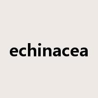 echinacea是什么意思