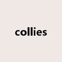 collies是什么意思