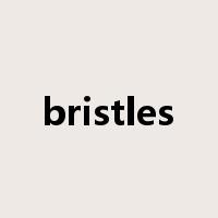 bristles是什么意思