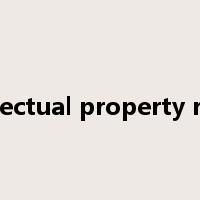 intellectual property rights是什么意思