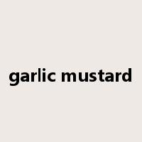 garlic mustard是什么意思