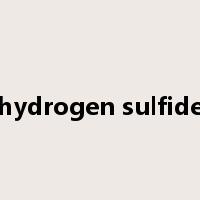 hydrogen sulfide是什么意思
