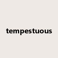 tempestuous是什么意思