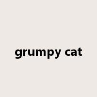 grumpy cat是什么意思