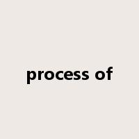 process of是什么意思