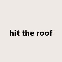 hit the roof是什么意思