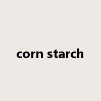 corn starch是什么意思