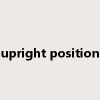 upright position是什么意思