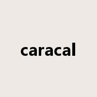 caracal是什么意思