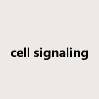 cell signaling是什么意思