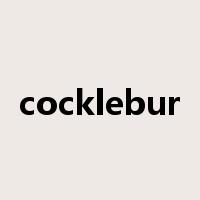 cocklebur是什么意思
