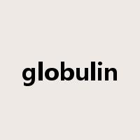 globulin是什么意思