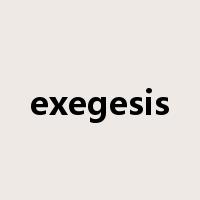 exegesis是什么意思