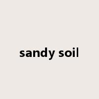 sandy soil是什么意思
