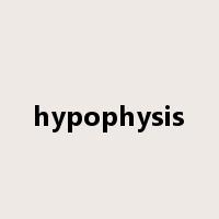 hypophysis是什么意思