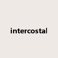 intercostal是什么意思