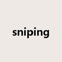 sniping是什么意思