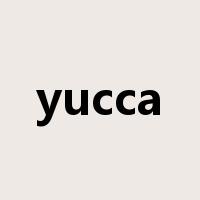 yucca是什么意思