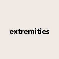 extremities是什么意思