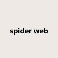 spider web是什么意思